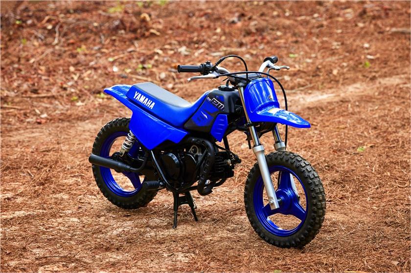 YAMAHA PW50